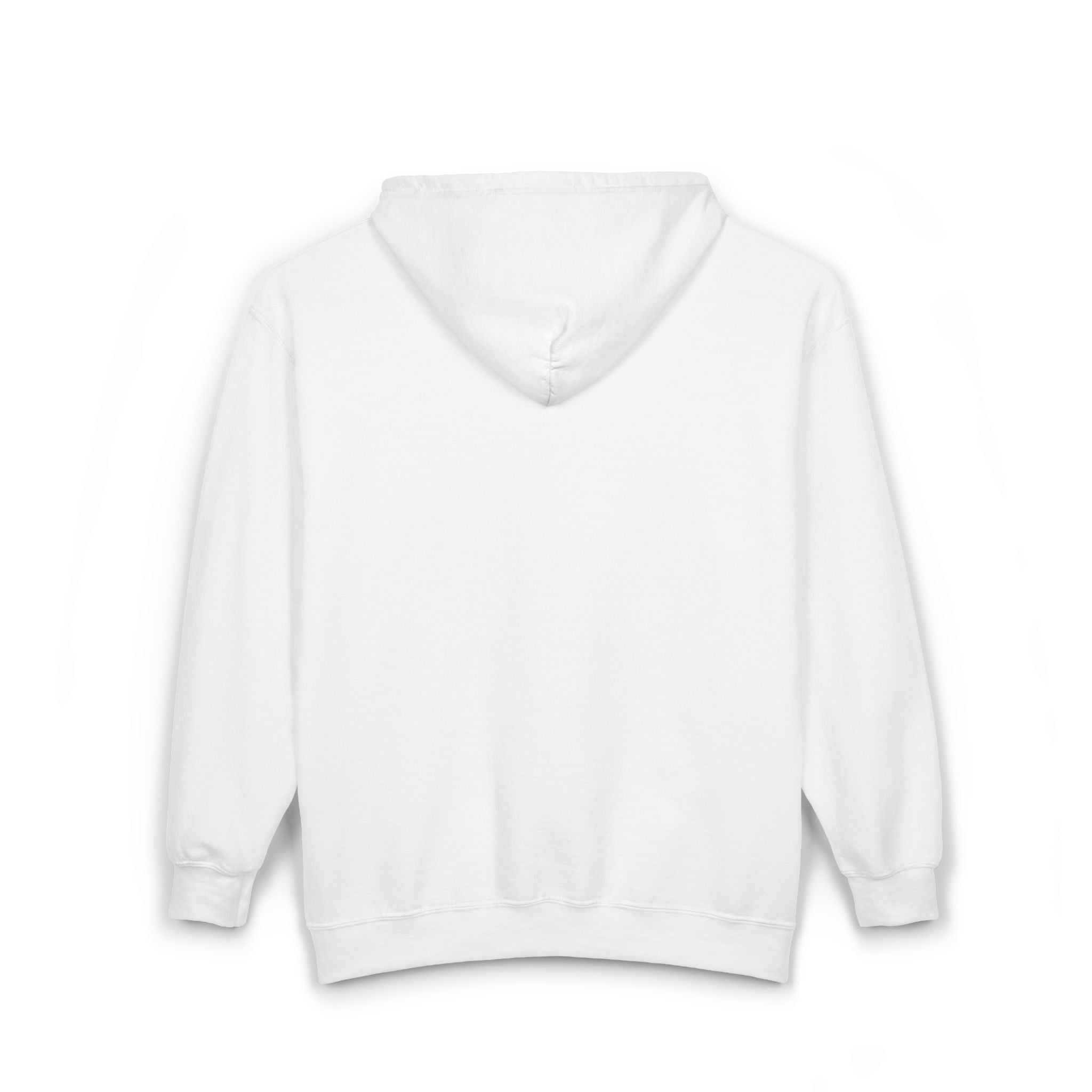 Hoodie Zippé VSN Logo Noir